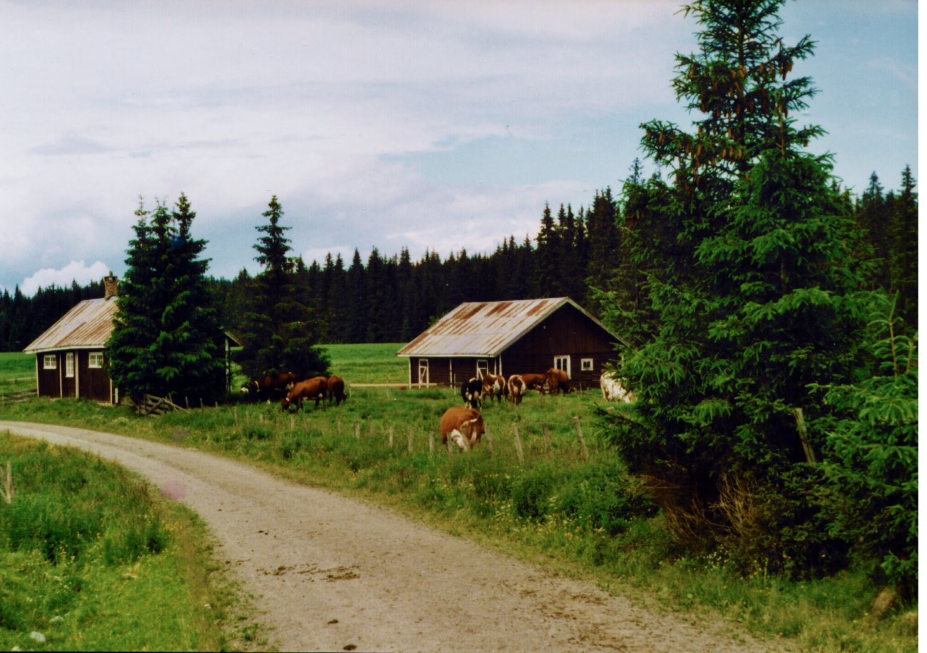 Fellessætra i Helgedalen