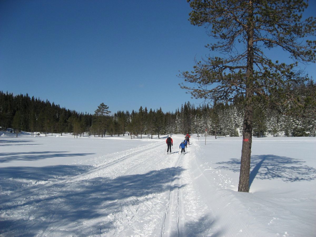 Femputtene på Ringkollen