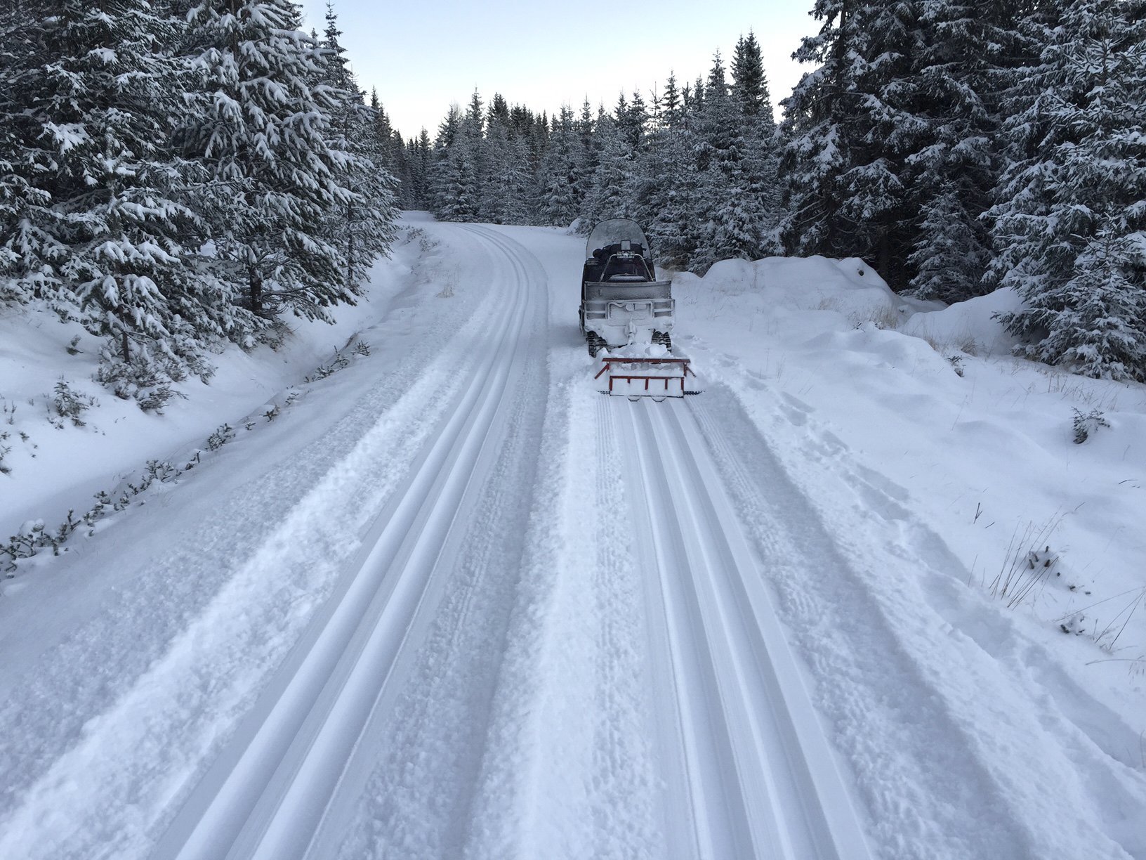 Ferske spor i Vardalsåsen