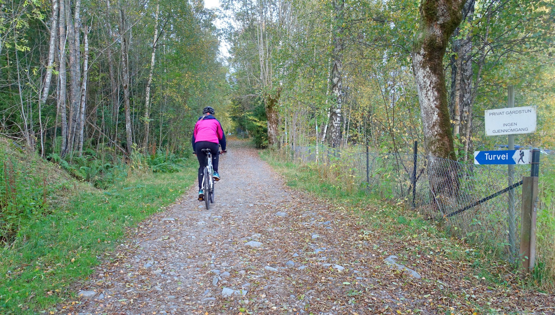 Fin kveld for sykling