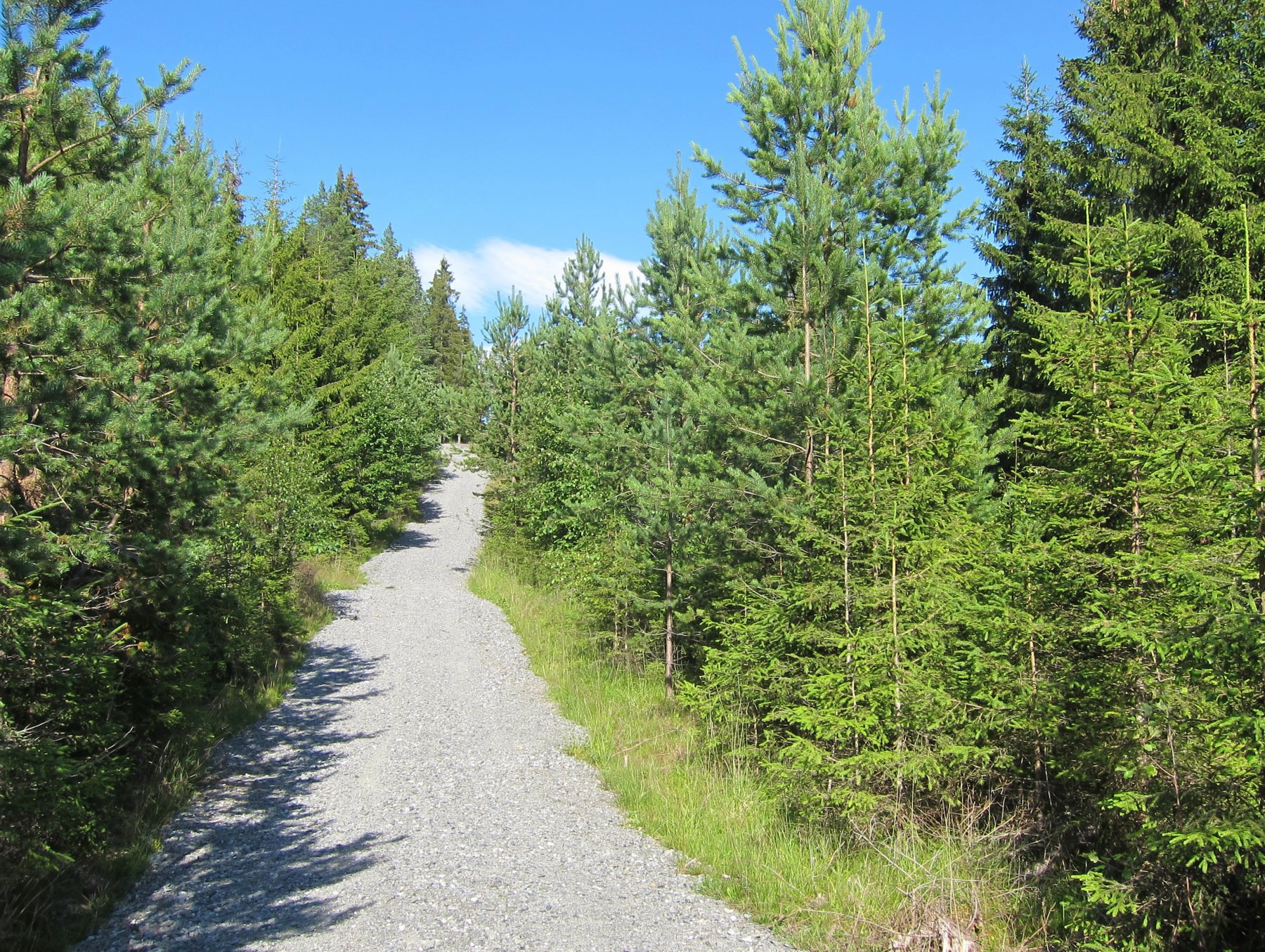 Fin sykkelveg i Lygnalia