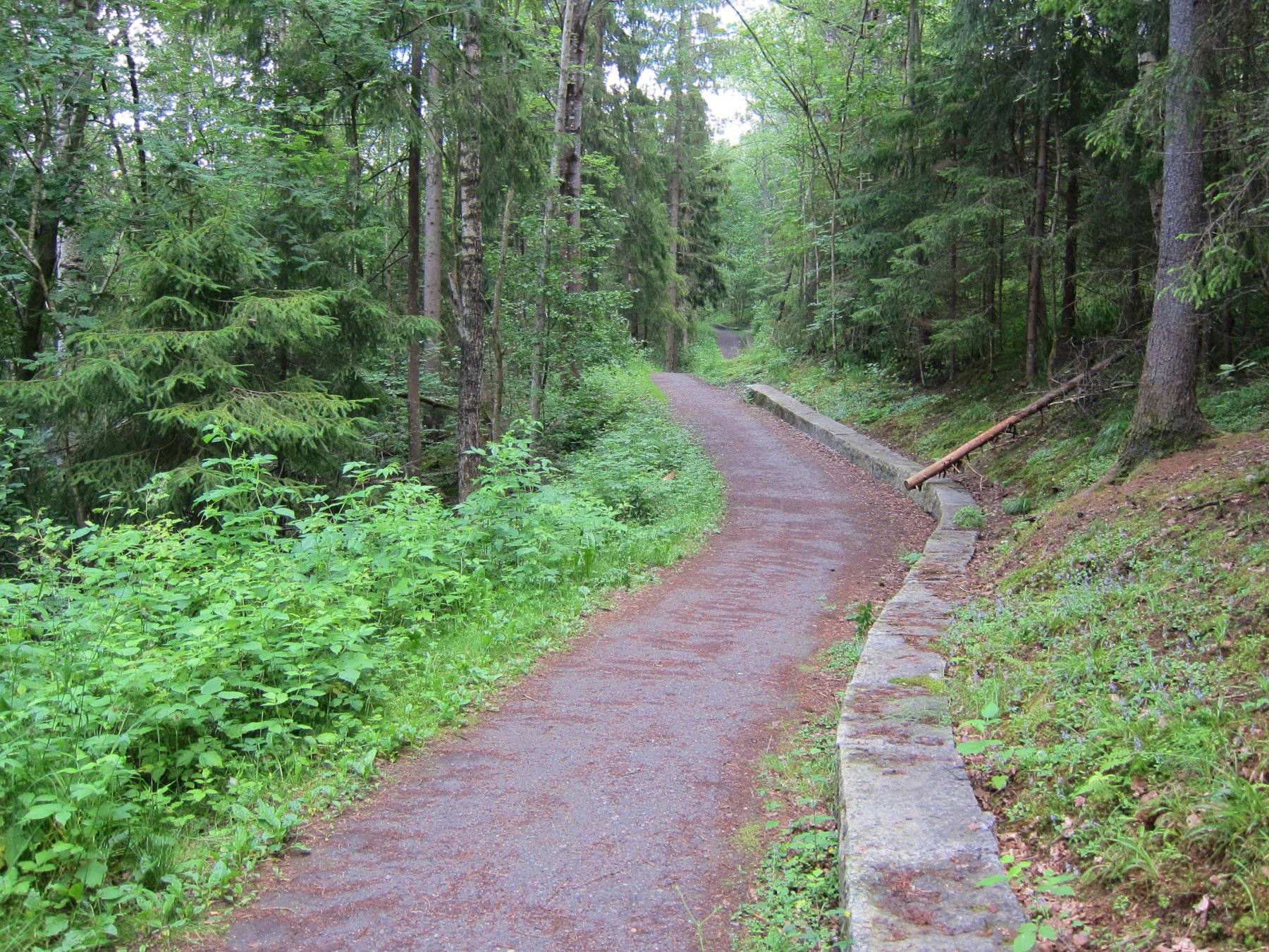 Fin turvei i Ljanselva miljøpark