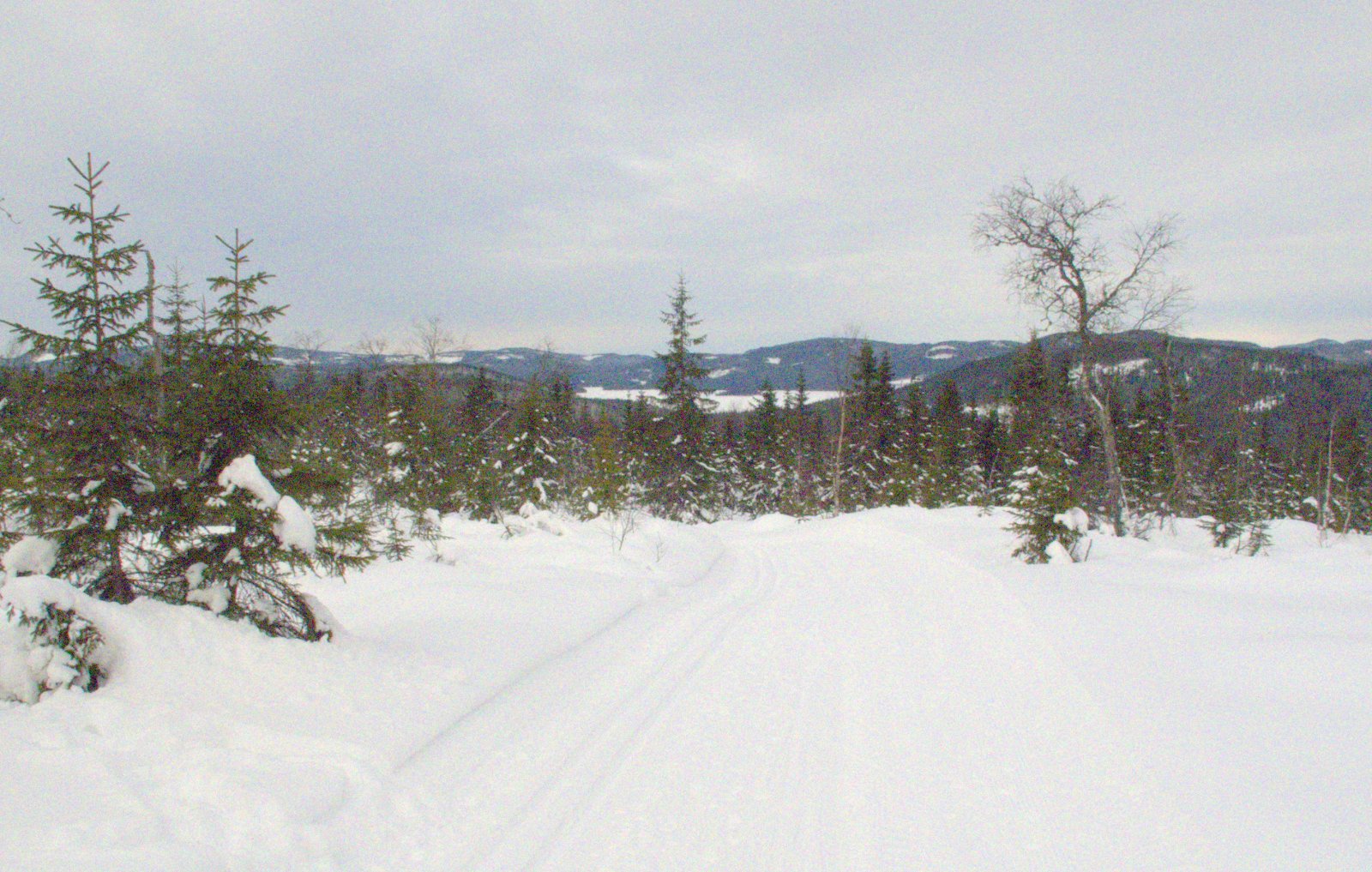 Fin utsikt mot Hurdalssjøen