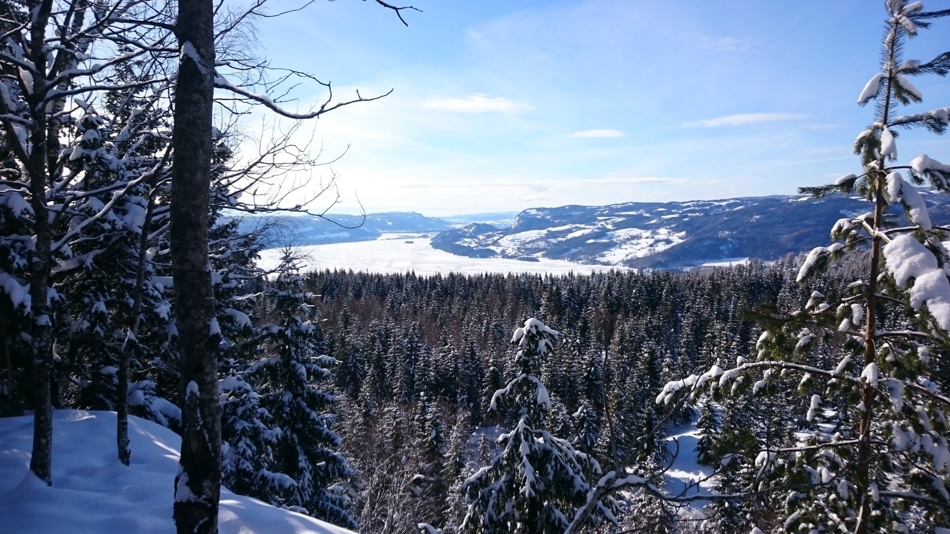 Fin utsikt over Holsfjorden