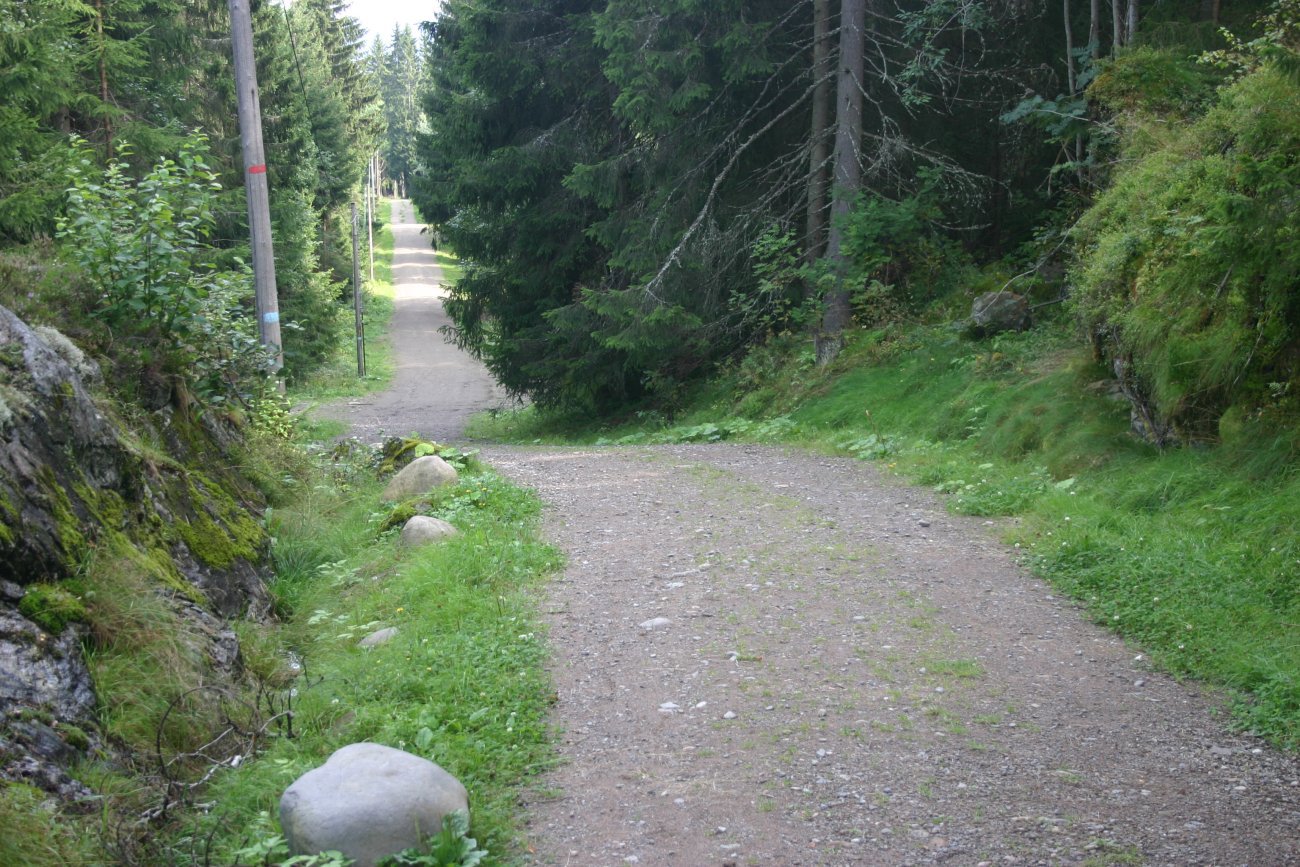 Fin vei mot Trondheim