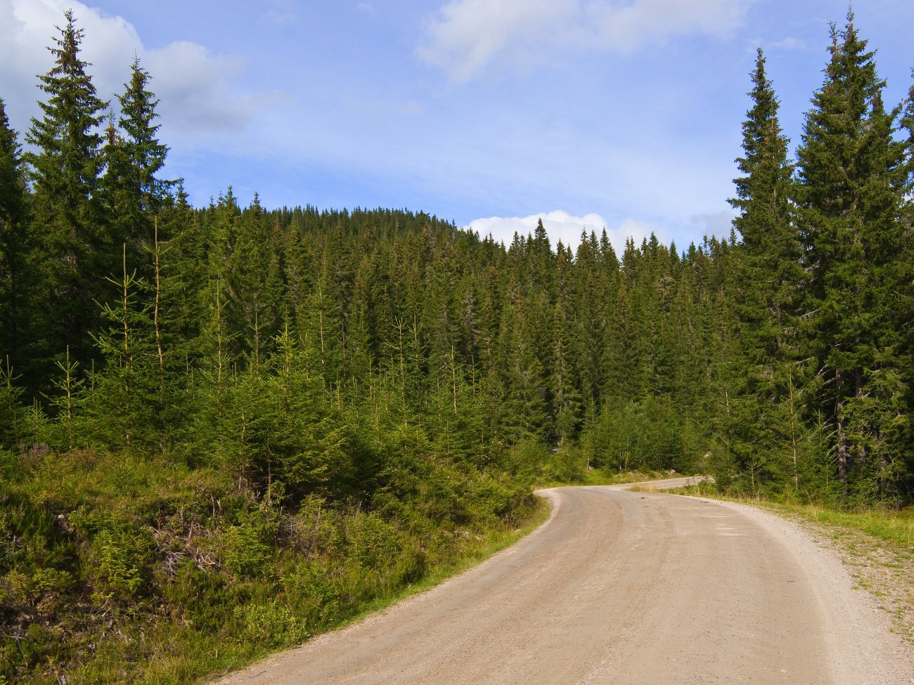 Fin vei under Vassbråskurven