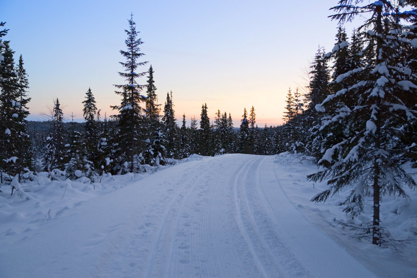 Fine dobbeltspor i kveldstimen