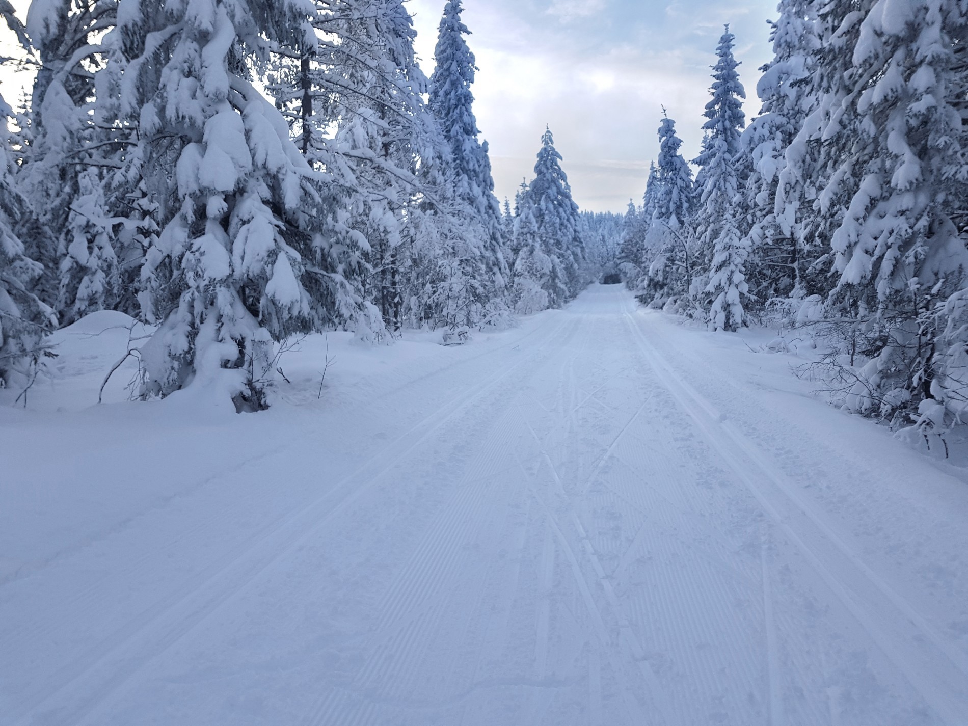 Fine forhold mellom Movatn og Tømte