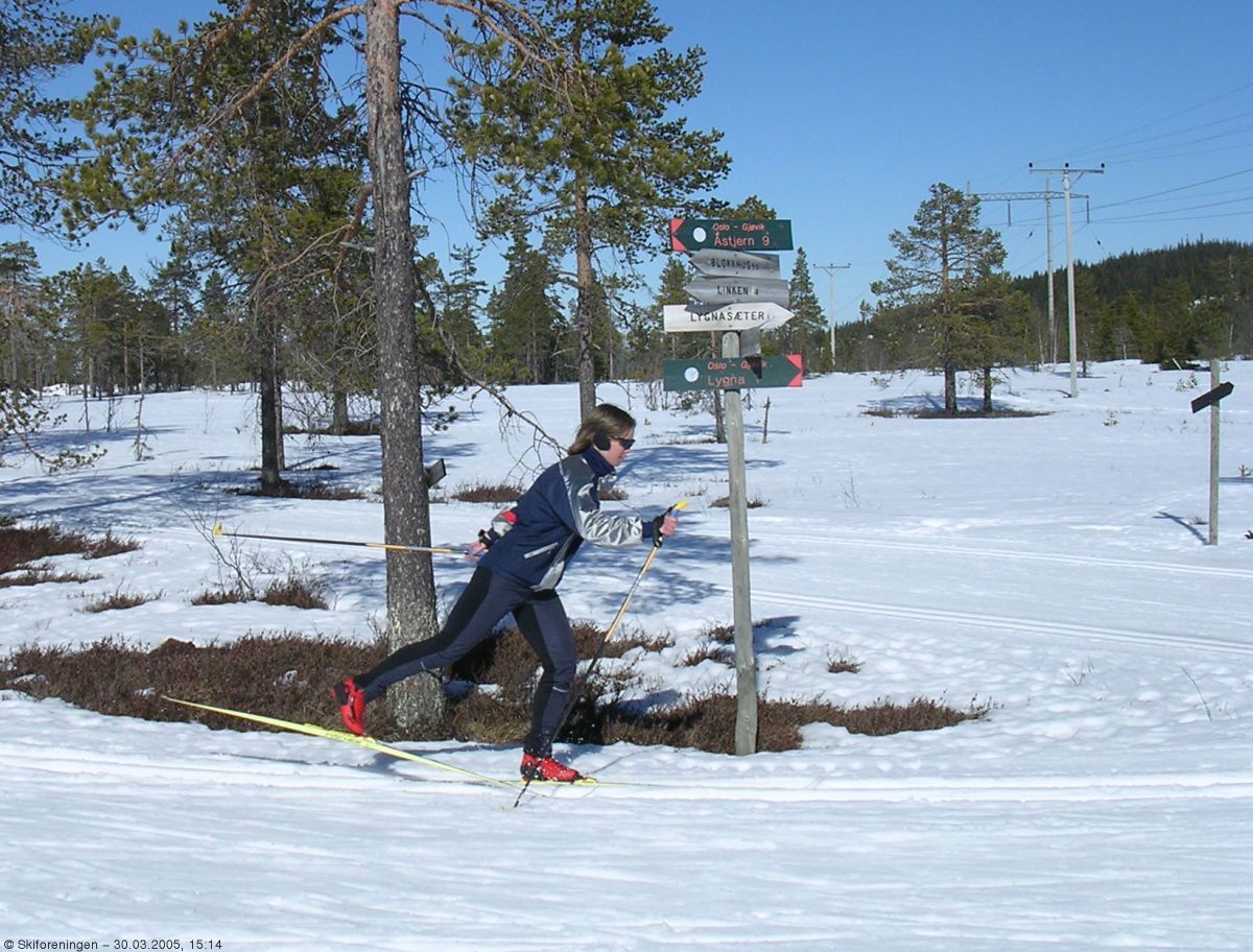 Fine forhold på Lygna