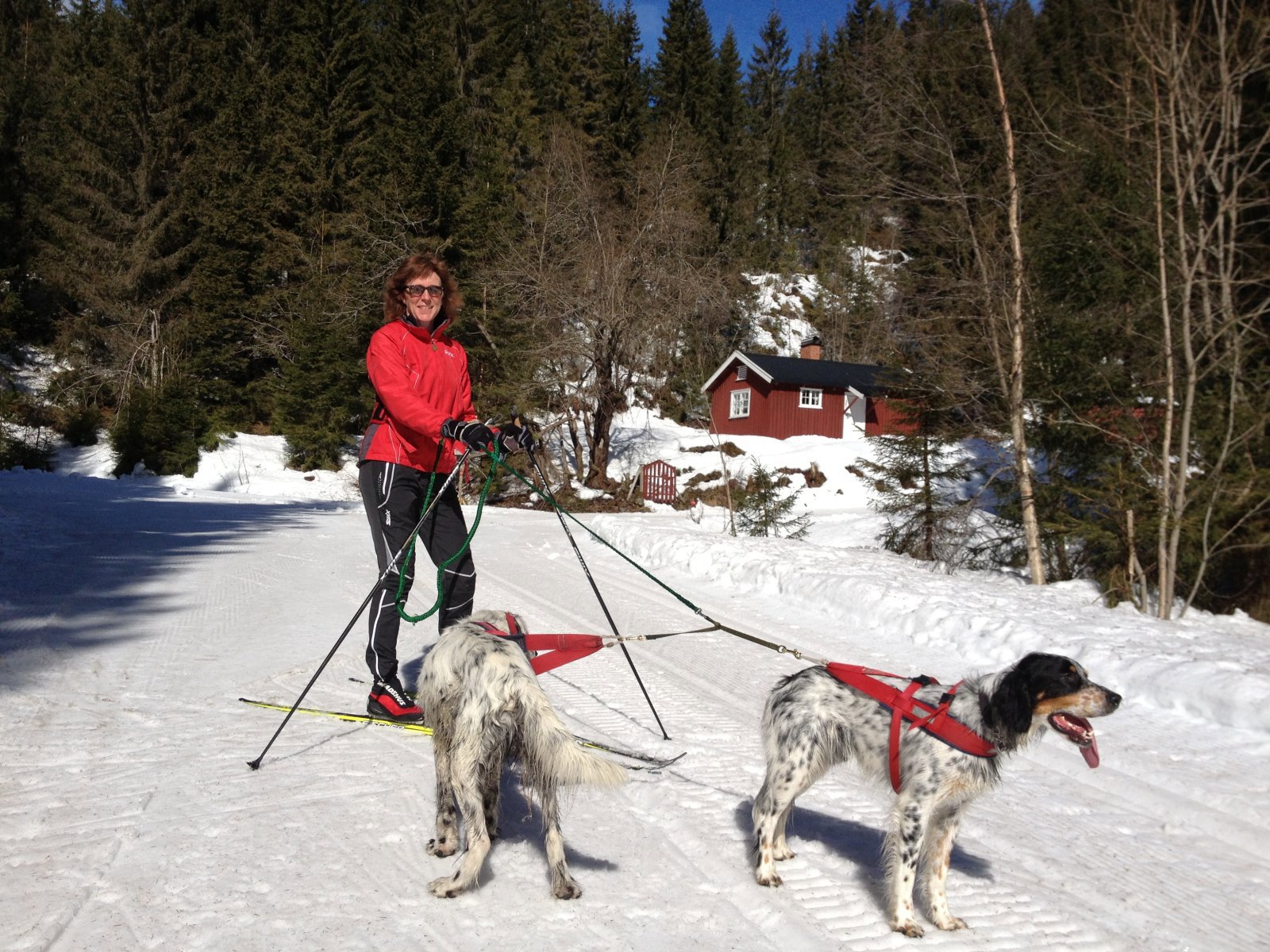 Fine forhold ved Storbekkhytta