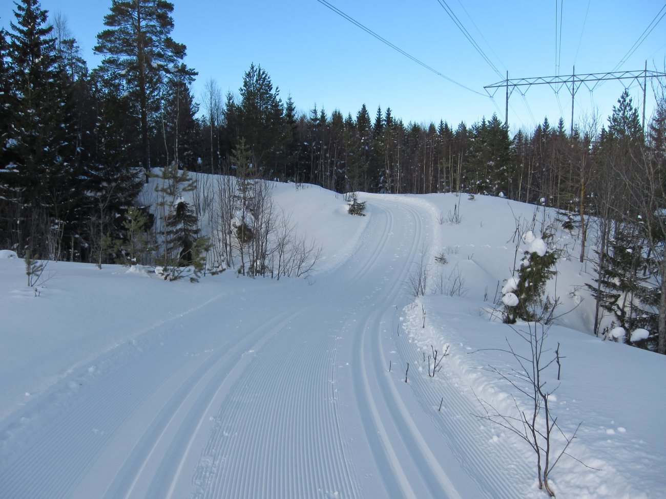 Fine spor i Kollerløypa