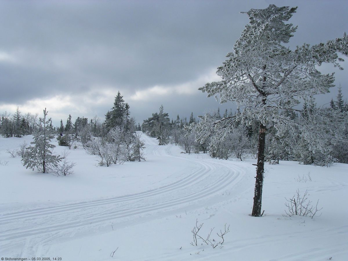 Fine spor på et av Markas høyeste steder