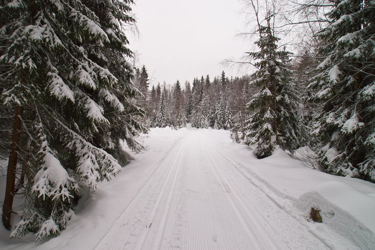 Fine spor ved Vintermyrene