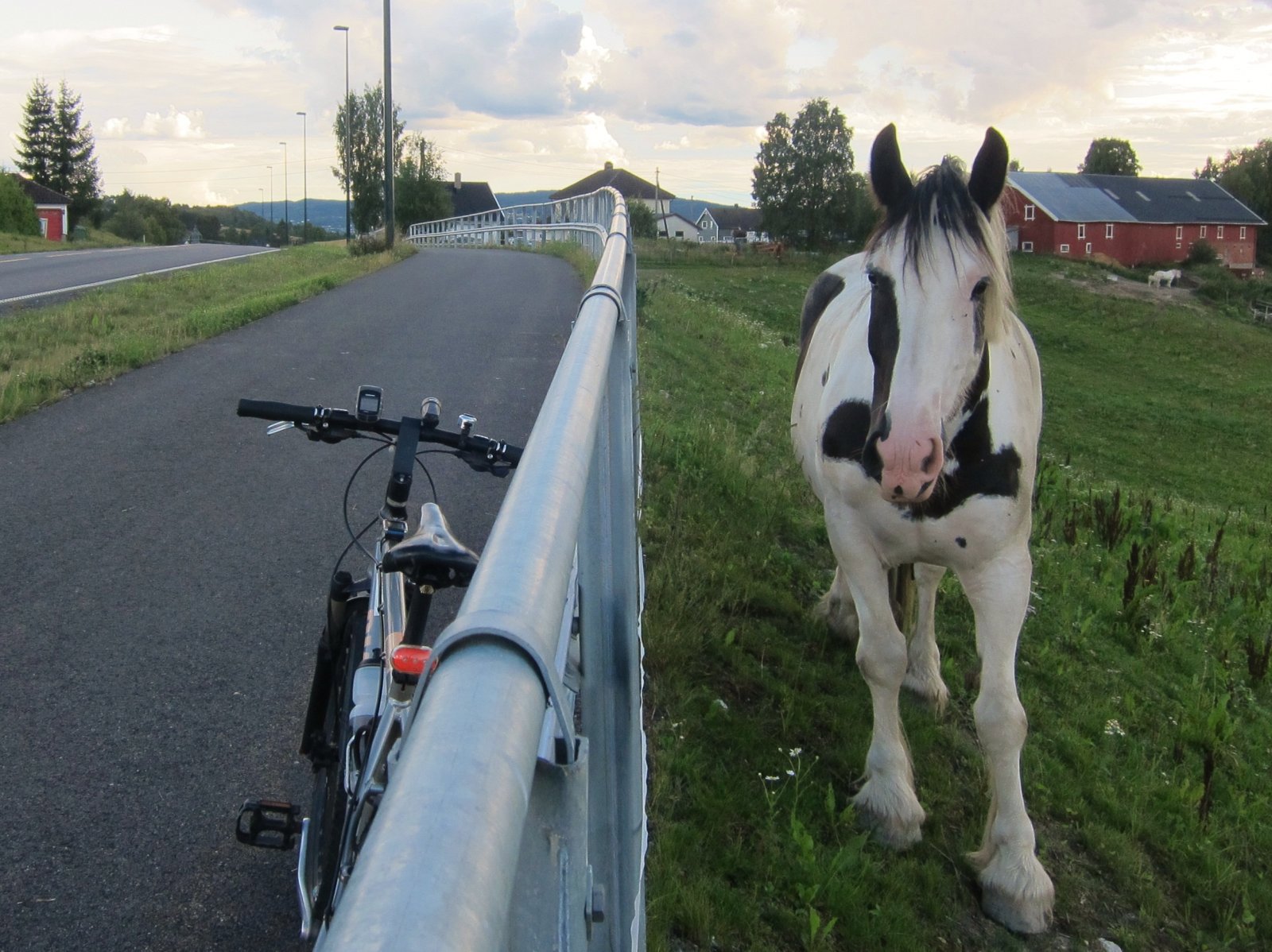 Firbent ved sykkelveien