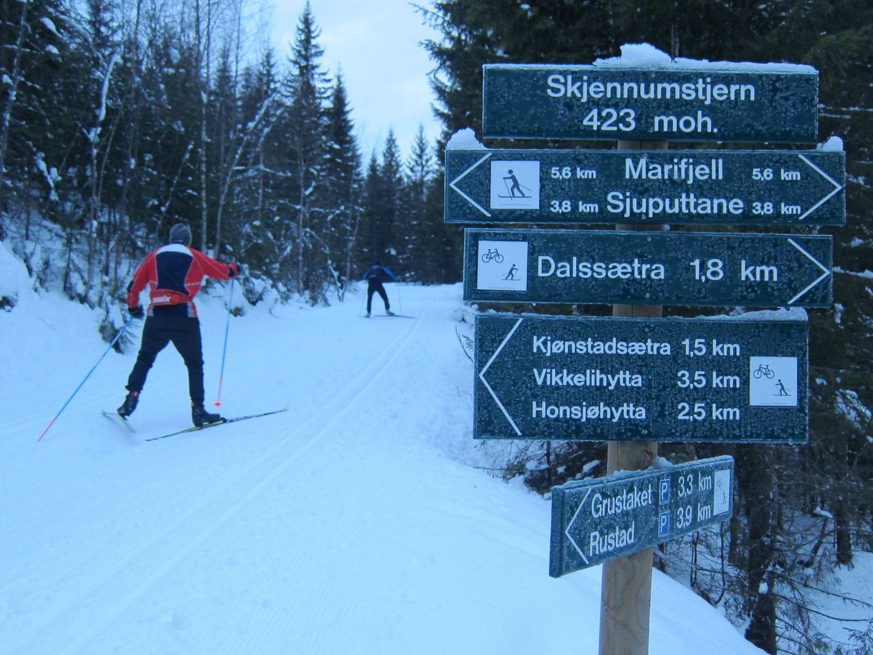 Fiskebein fra Skjennumstjernet