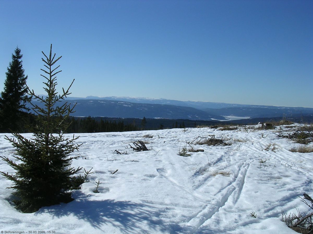 Fjellutsikt fra Lygnaområdet