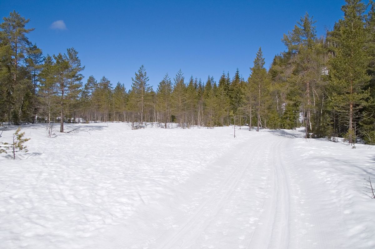 Flott aprilføre i Toresplassløypa