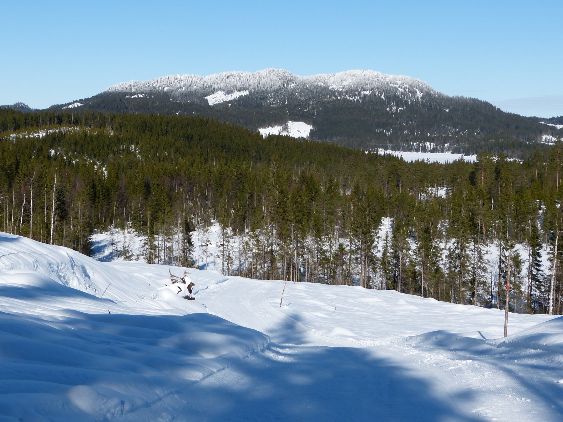 Flott dag og fine løyper i Nordmarka