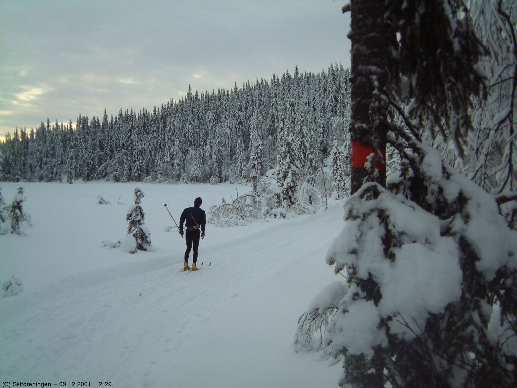 Flott førjulsføre i Romeriksåsene