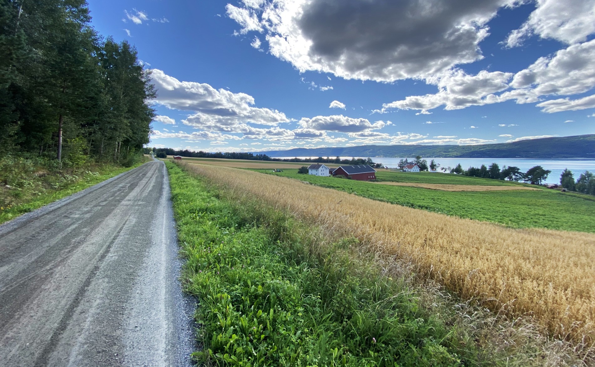 Flott grusvei langs Askimlandet