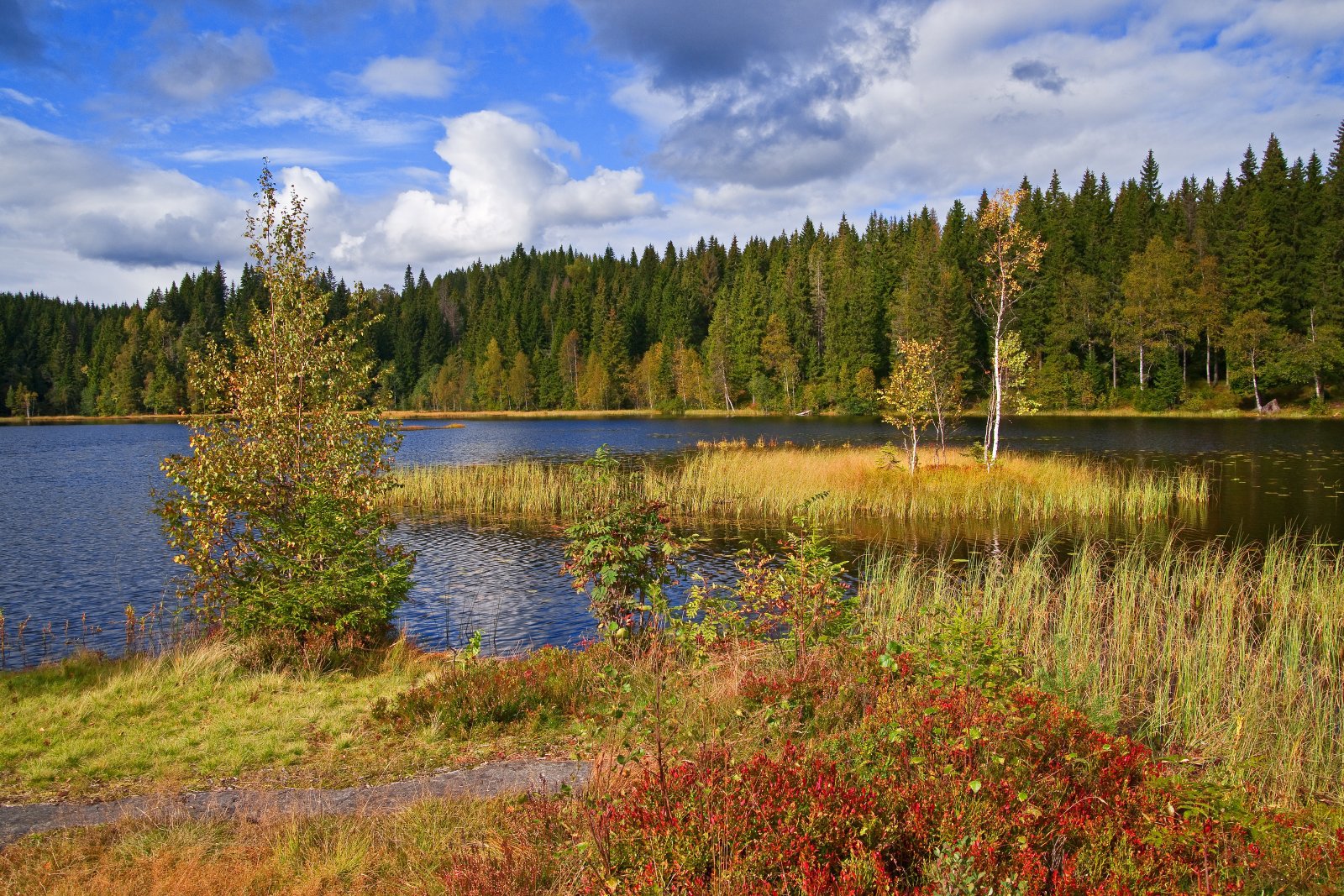 Flott høstdag ved Abborvann