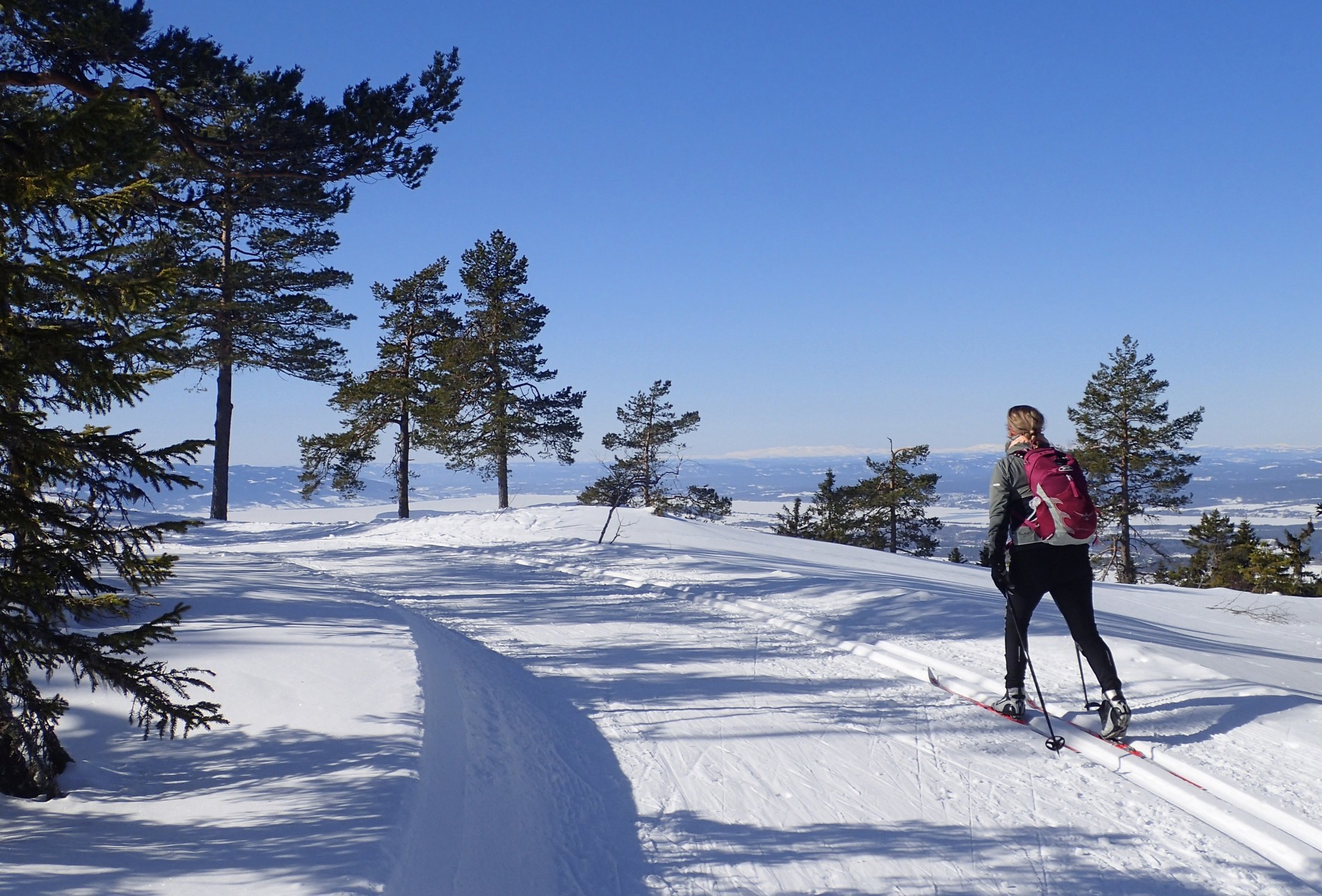 Flott utsikt fra Borgersetra