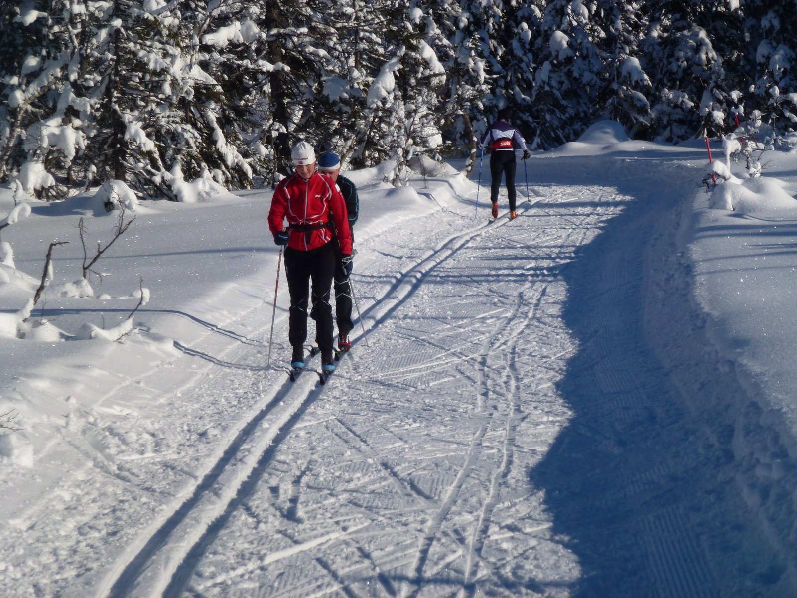 Flott vinterdag på vei fra Marifjell