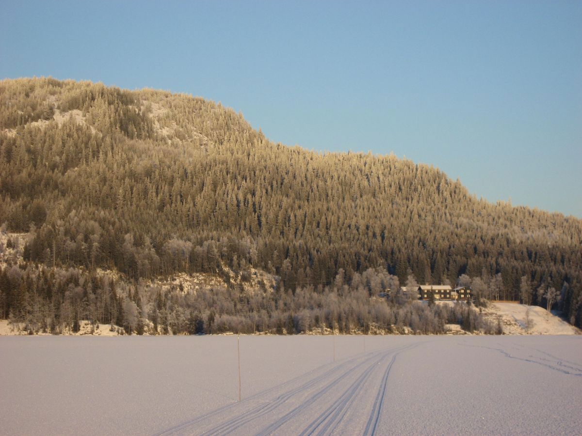 Flotte forhold mot Kikut