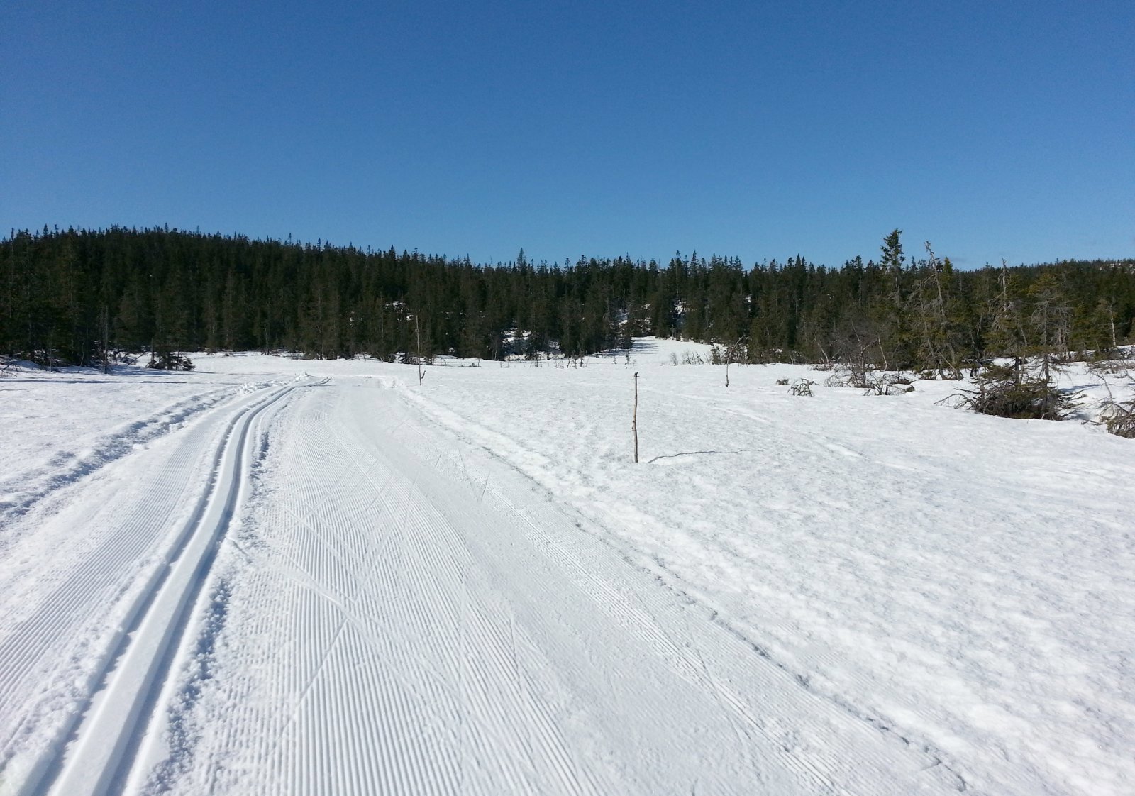 Flotte forhold på Nordåsen 1. mai