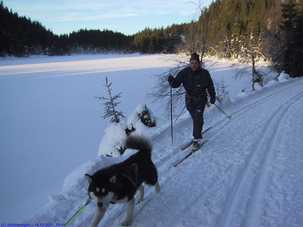 Flotte forhold ved Elsjøane