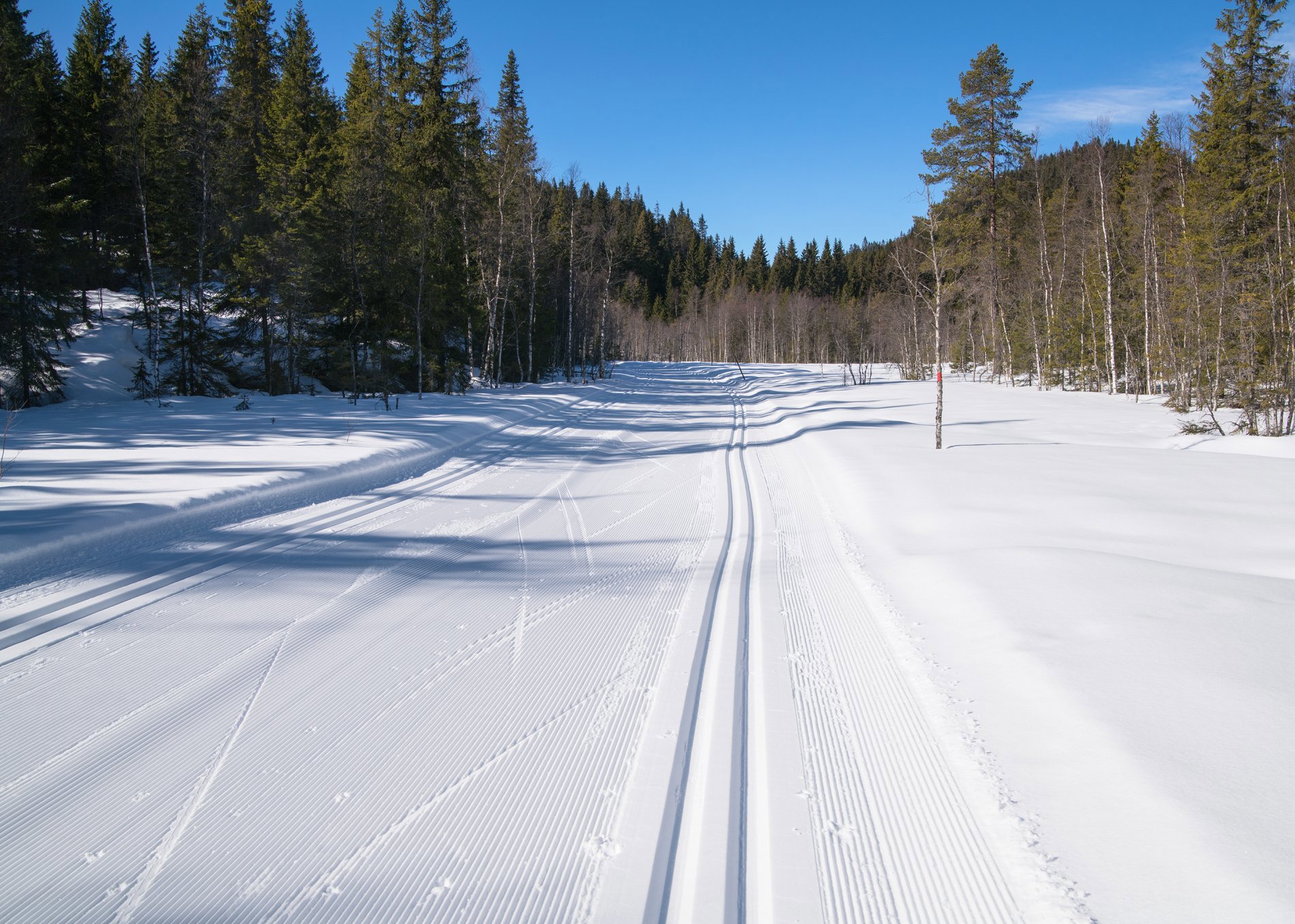 Flotte løyper nord for Øyangen