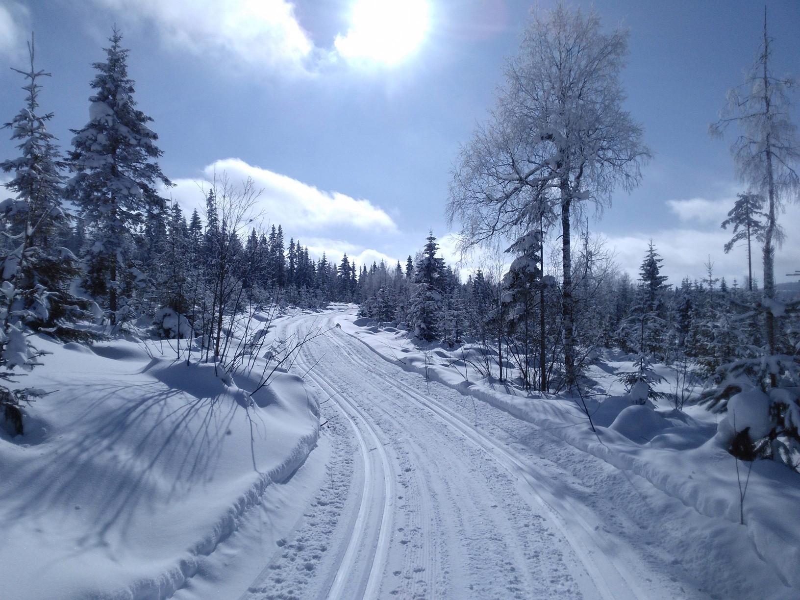 Flotte nykjørte løyper og sol