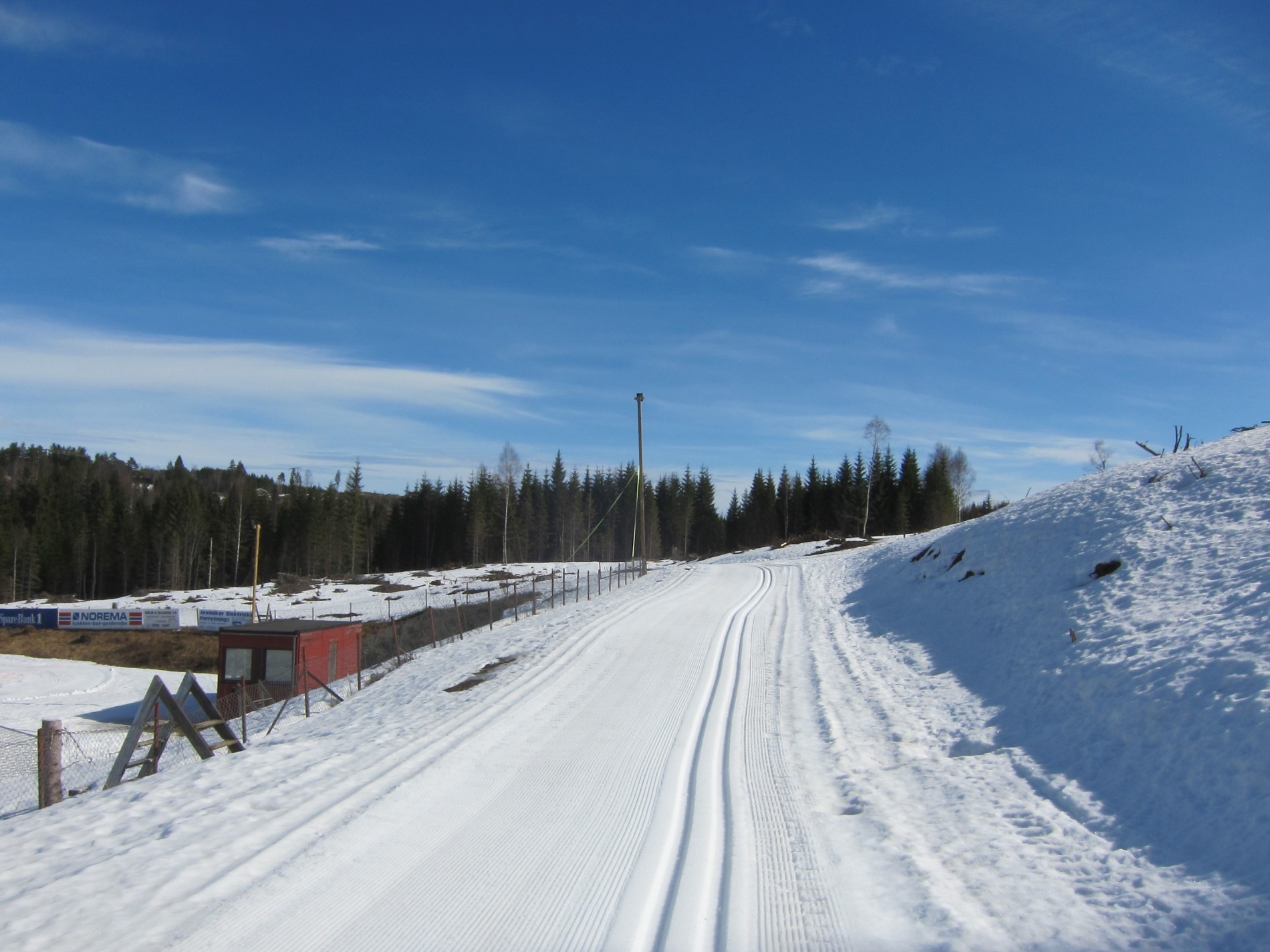 Flotte spor fra Myrskogen