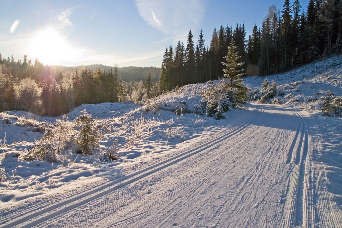 Flotte spor i motlyset