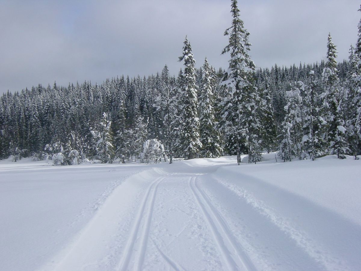 Flotte spor i Øljarunden