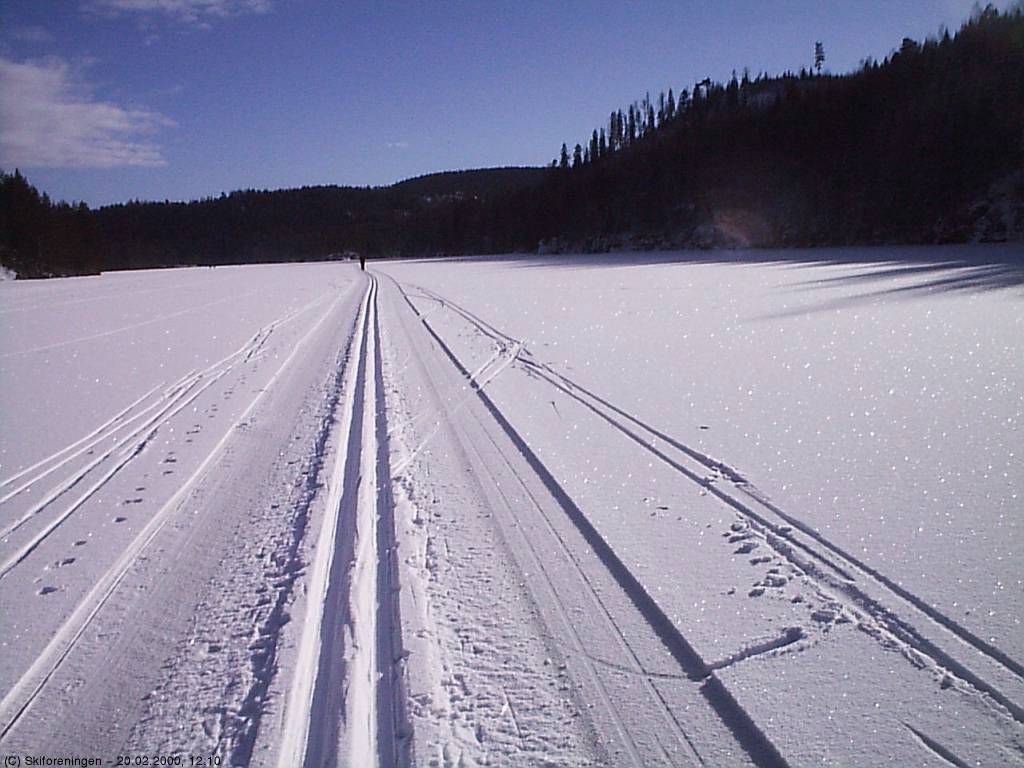 Flotte spor over Røyrivann