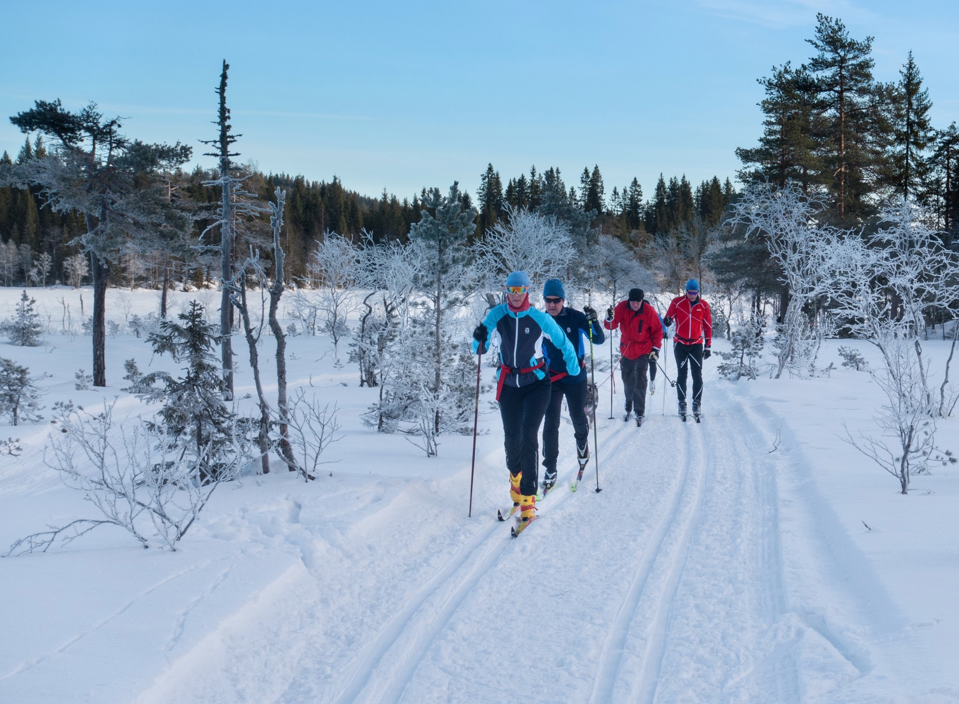 Folksomt i naturreservatet