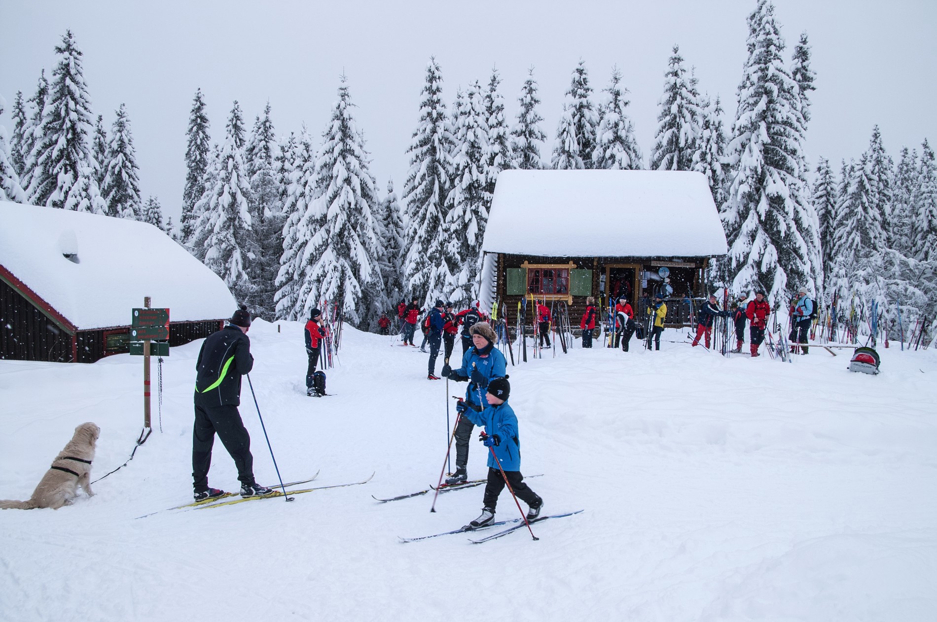 Folksomt på Vensåsseter i dag