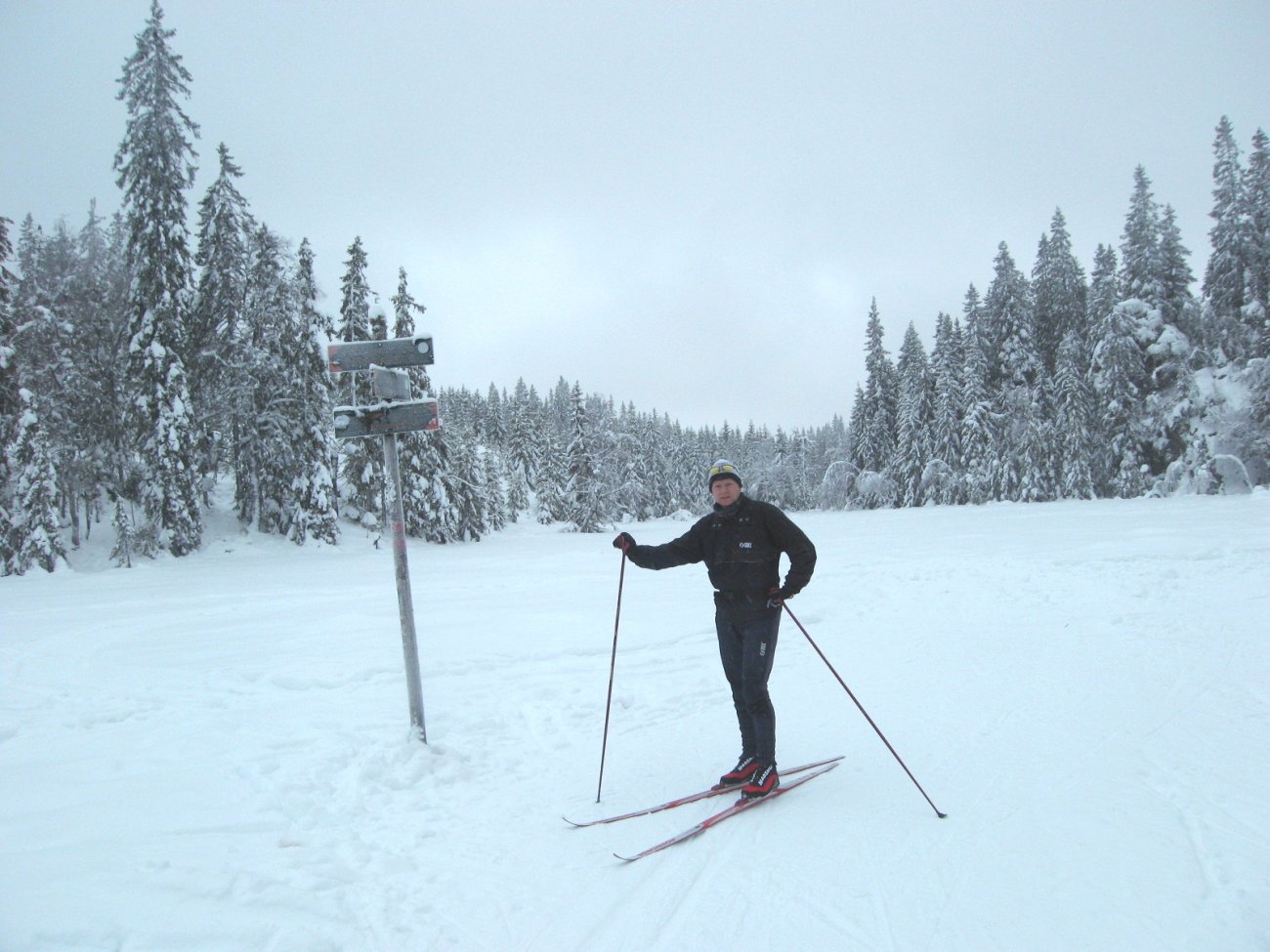 Folksomt ved Smedmyra