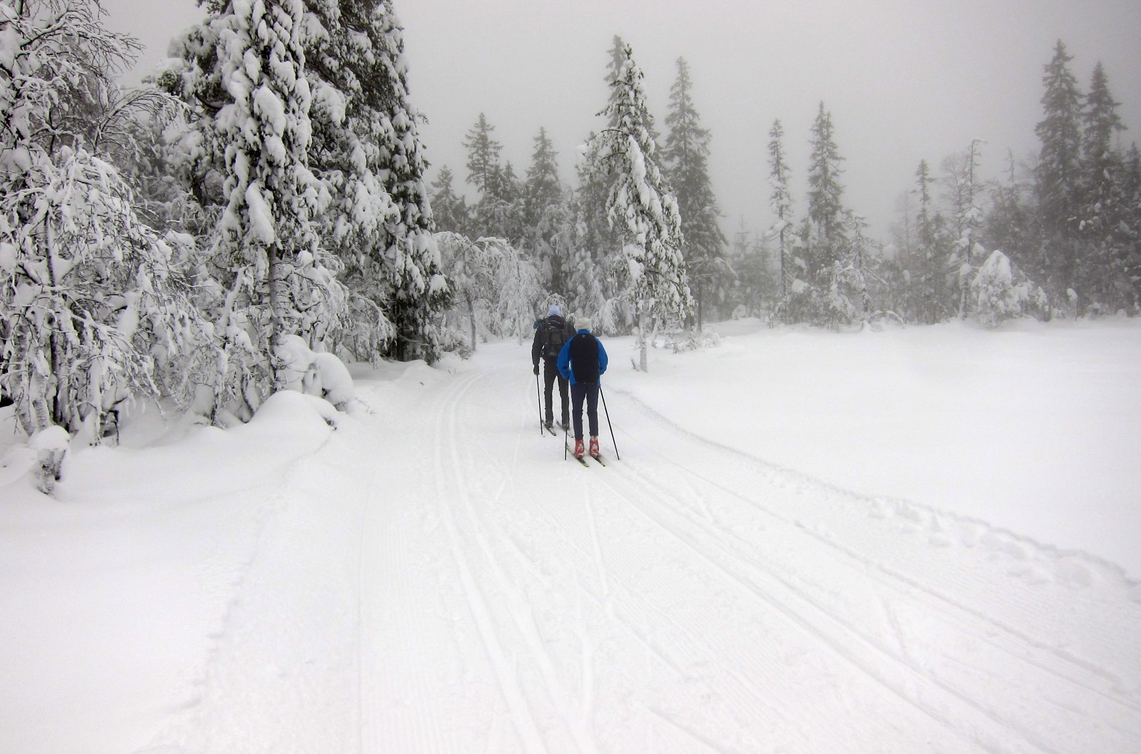 føre ingen hindring