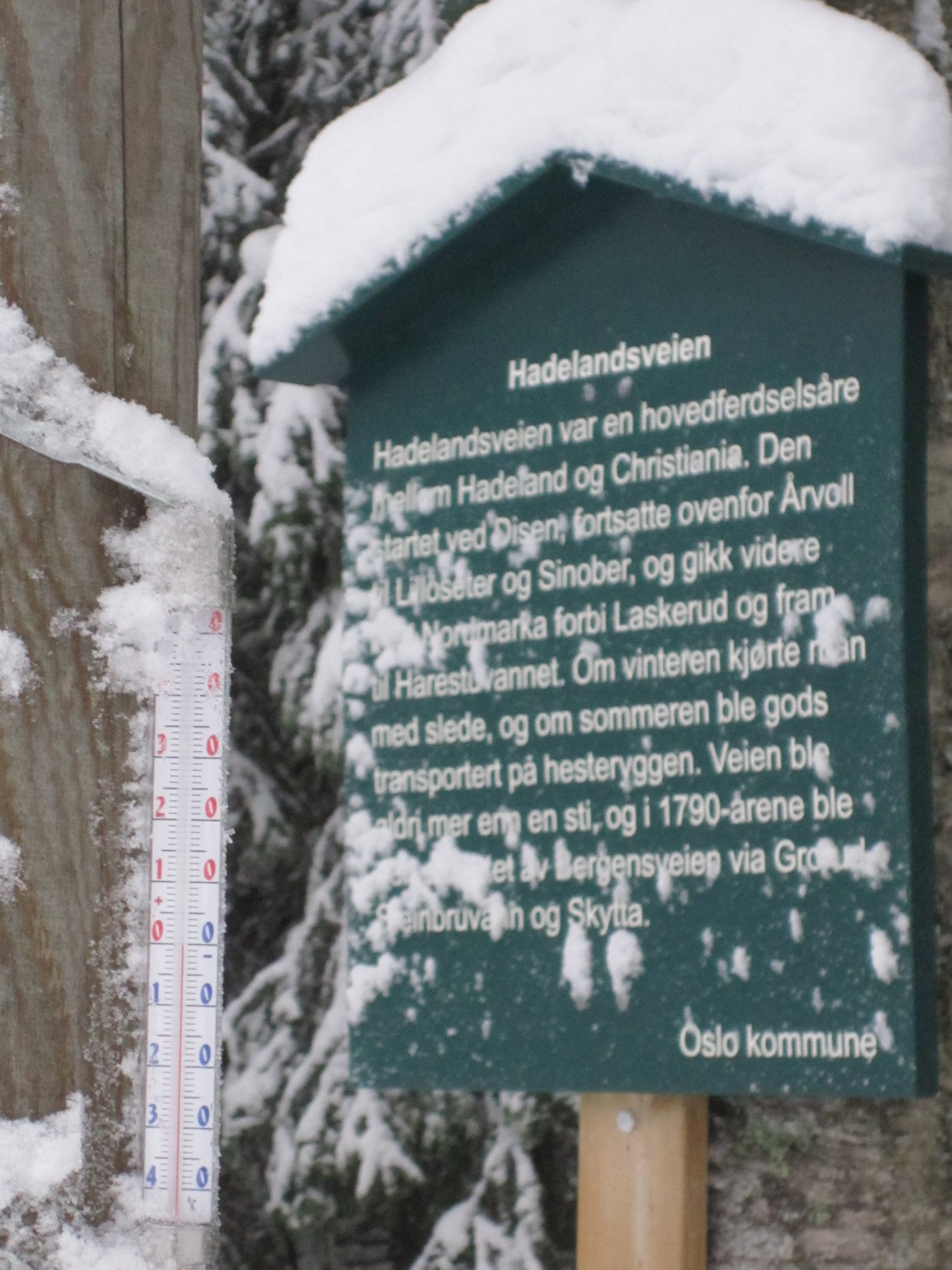 føre på Evensetermyra