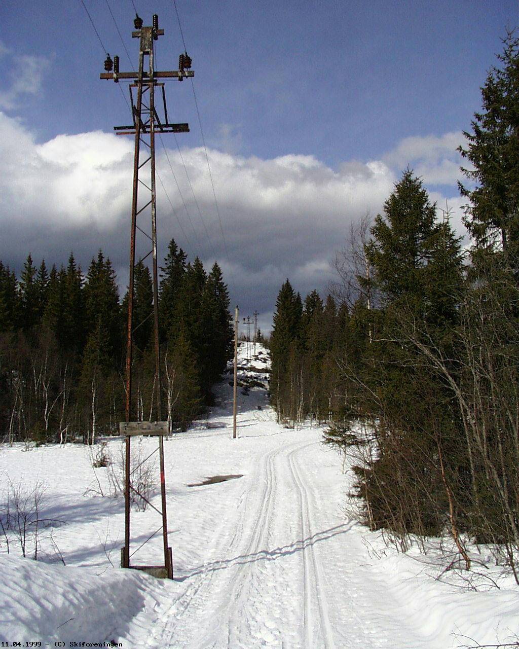 Førefall i Linjeløypa ved Sollihøgda