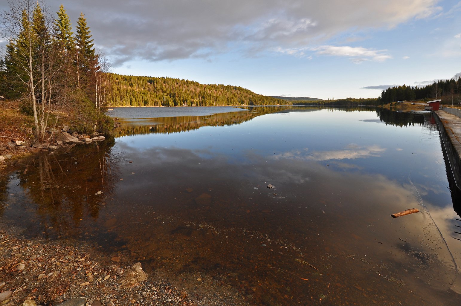 Føremelding Damtjern