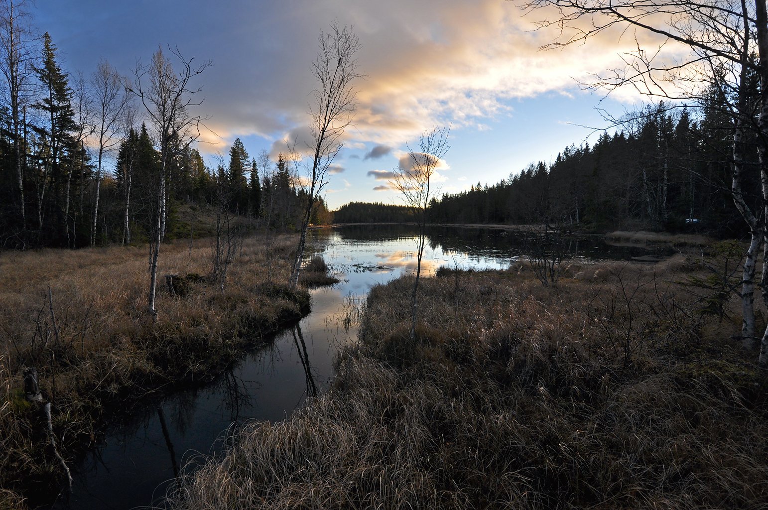 Føremelding Langtjern