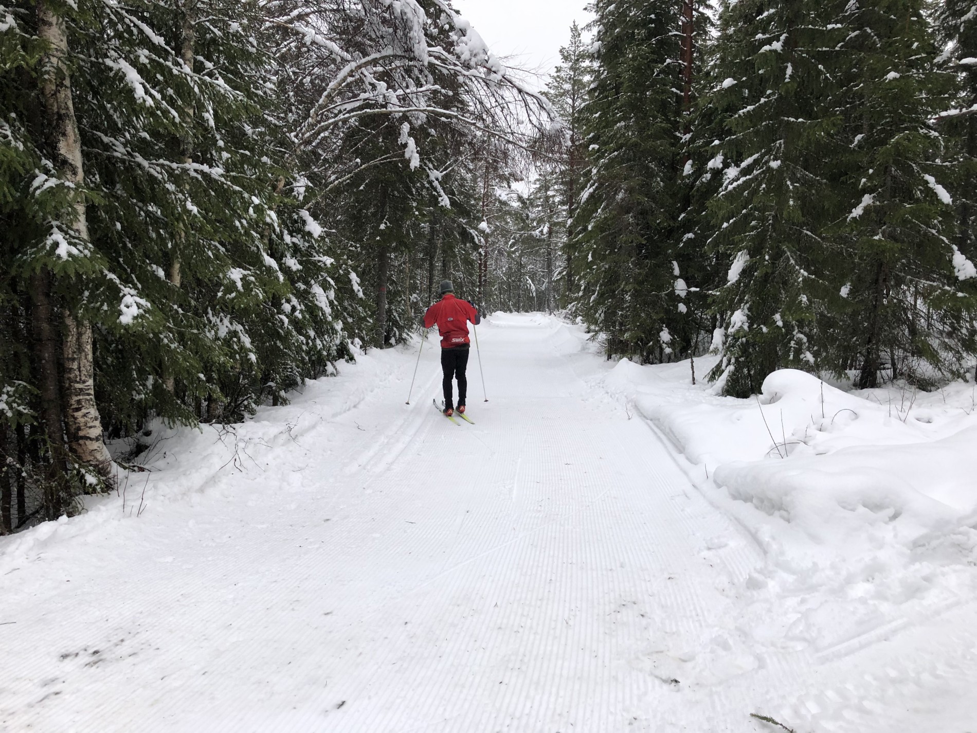 Føret var bløtt/isete