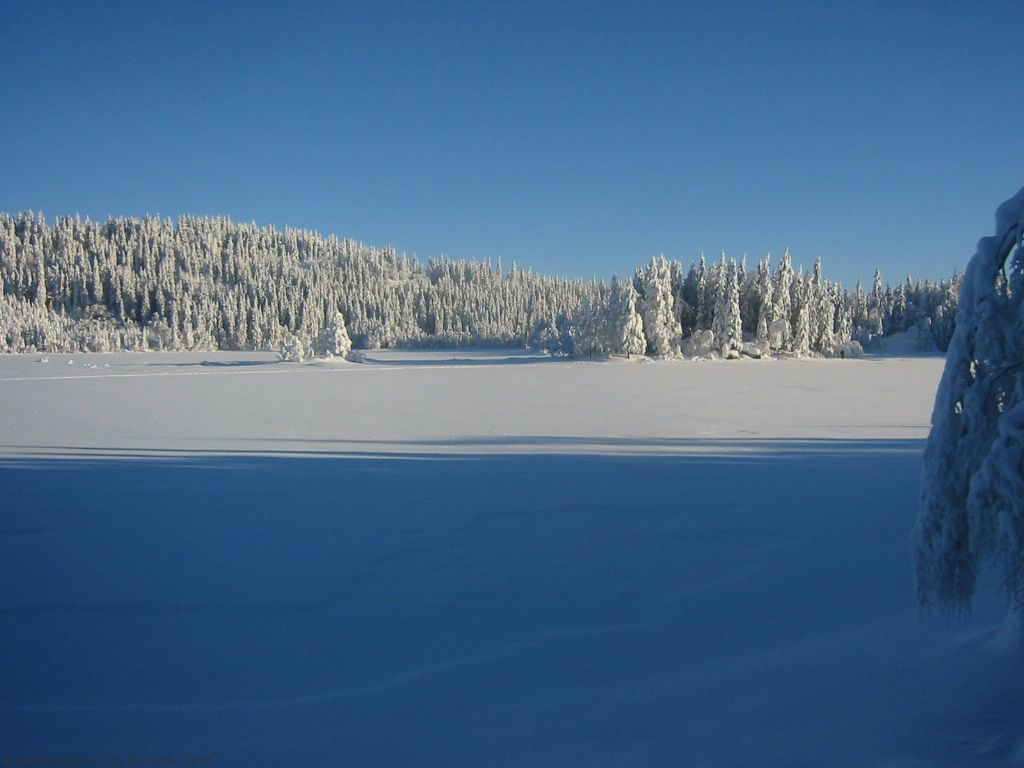 Formiddagsstemning ved Triungsvannene