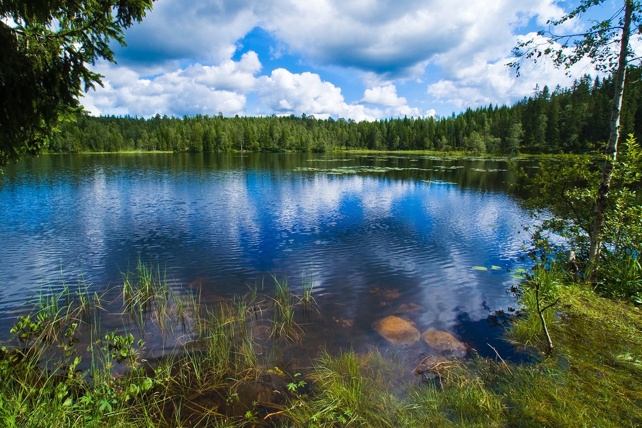 Første augustdag ved Finntjern