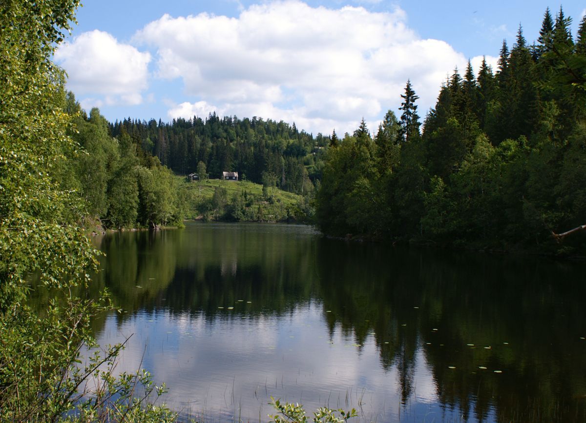 Fortjern og Fortjernsbråtan