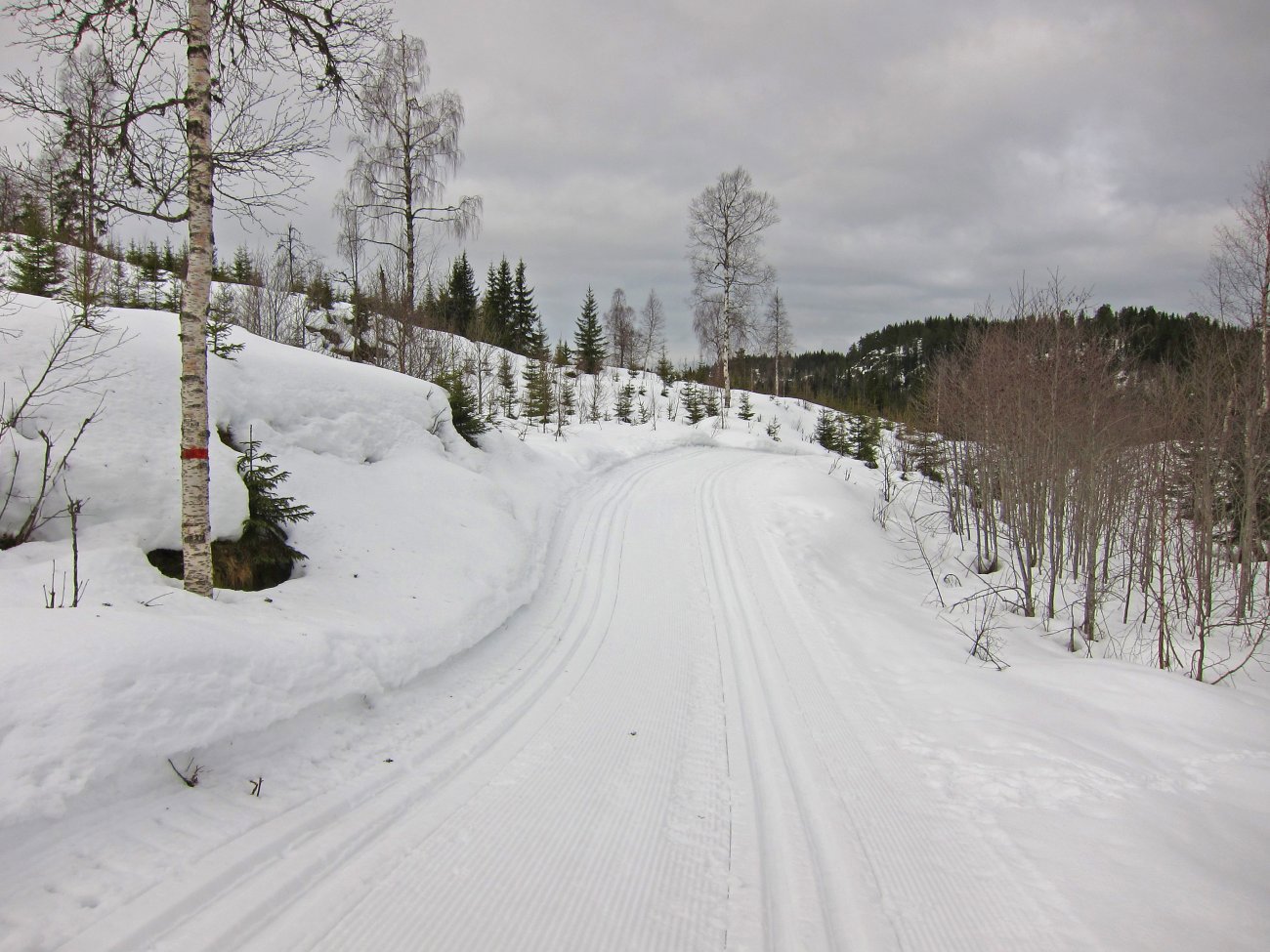Fortsatt gode forhold fra Sollihøgda