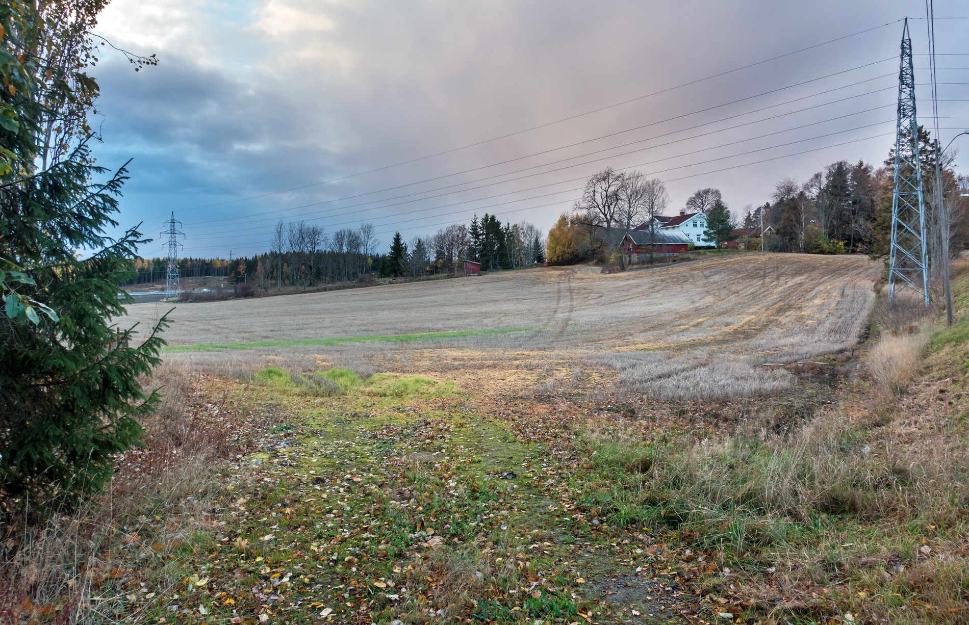 Fortsatt høst ved Landåsveien i Vestby